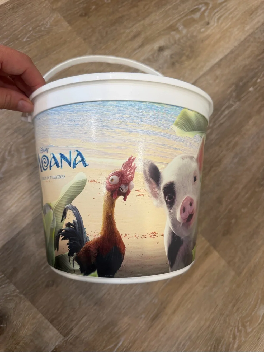 Disney Moana 2026 Movie Theater Collectible Popcorn Bucket Pua Hei Hei